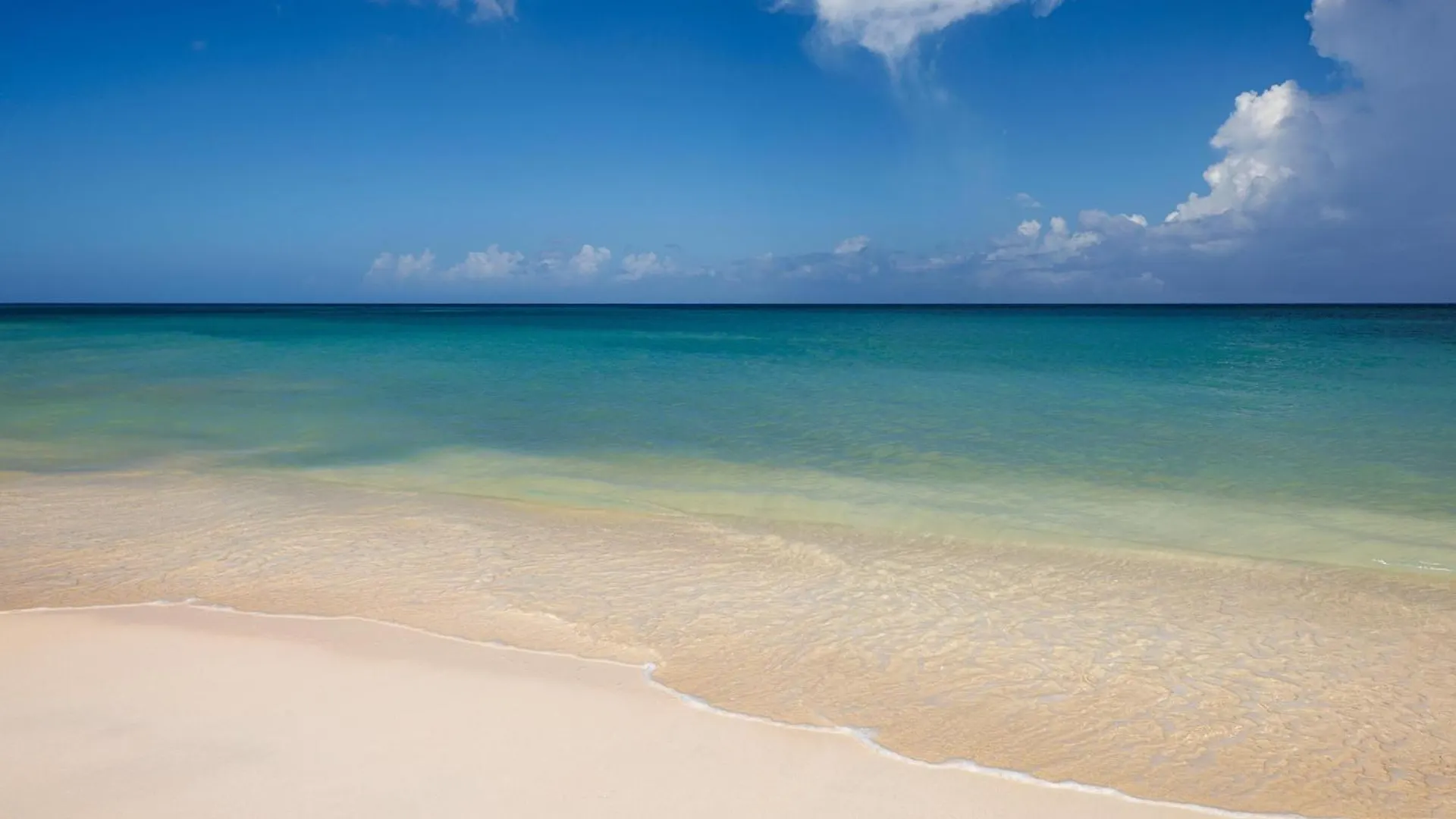 Sandals Montego Bay All Inclusive - Couples Only (Adults Only) Jamaica